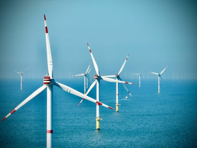 Offshore wind farm